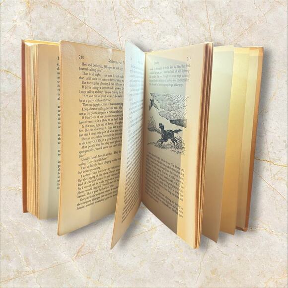 Stillmeadow Daybook Gladys Taber 1955 Vintage Book + Original Sketch - Picture 6 of 11